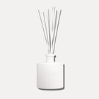 Scent inspired by Daily Routine Shampoo